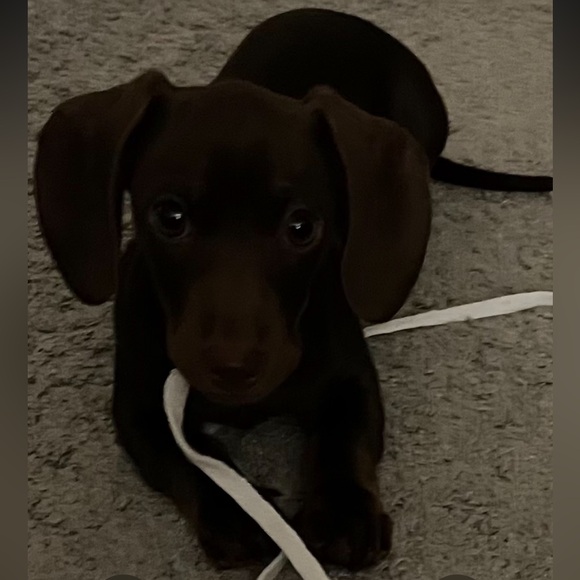 I’m Live! Come hang out, talk story, and shop with me! ♥️Jasmine - Picture 2 of 3